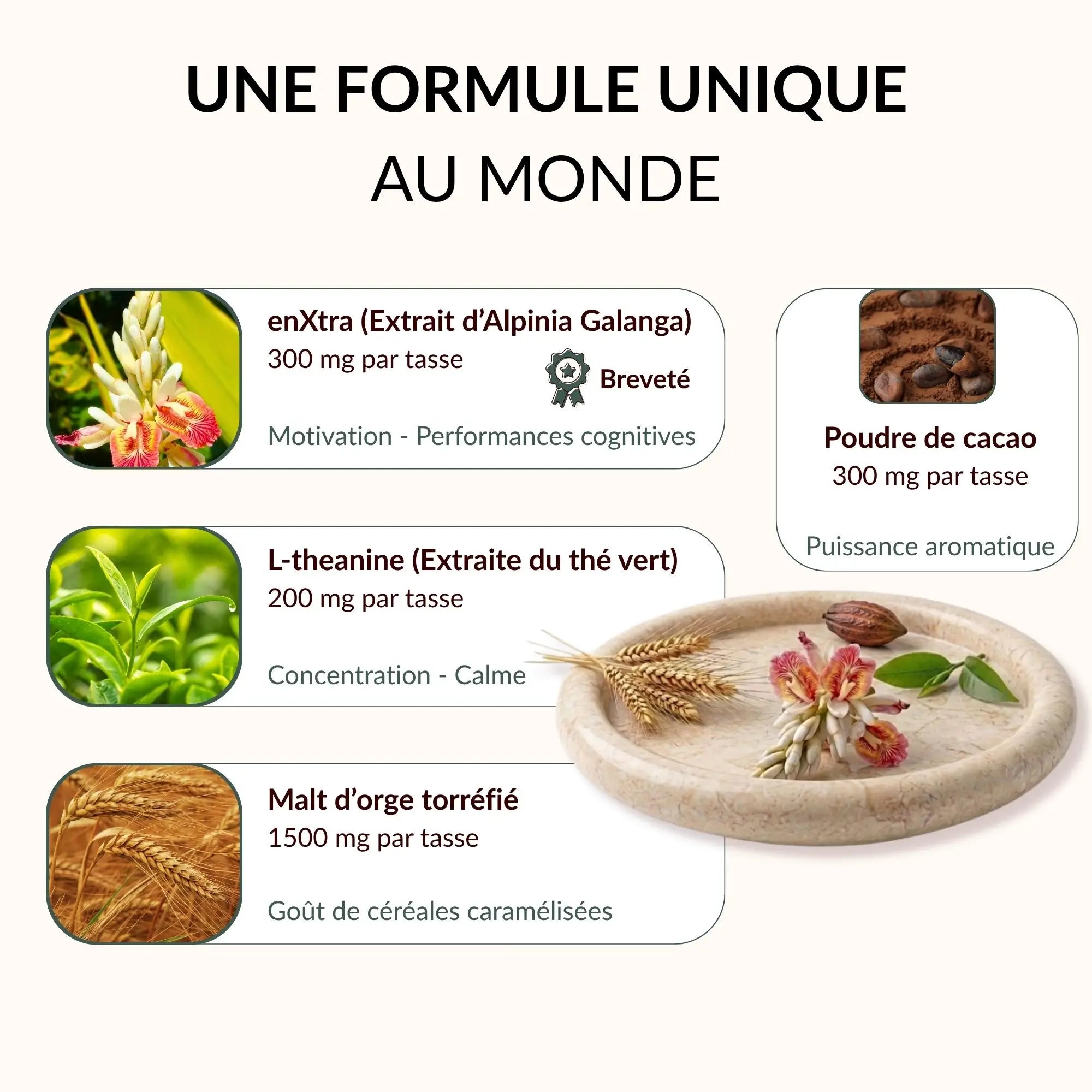 MOUD - Allié mental sans caféine