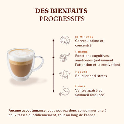 MOUD - Allié mental sans caféine