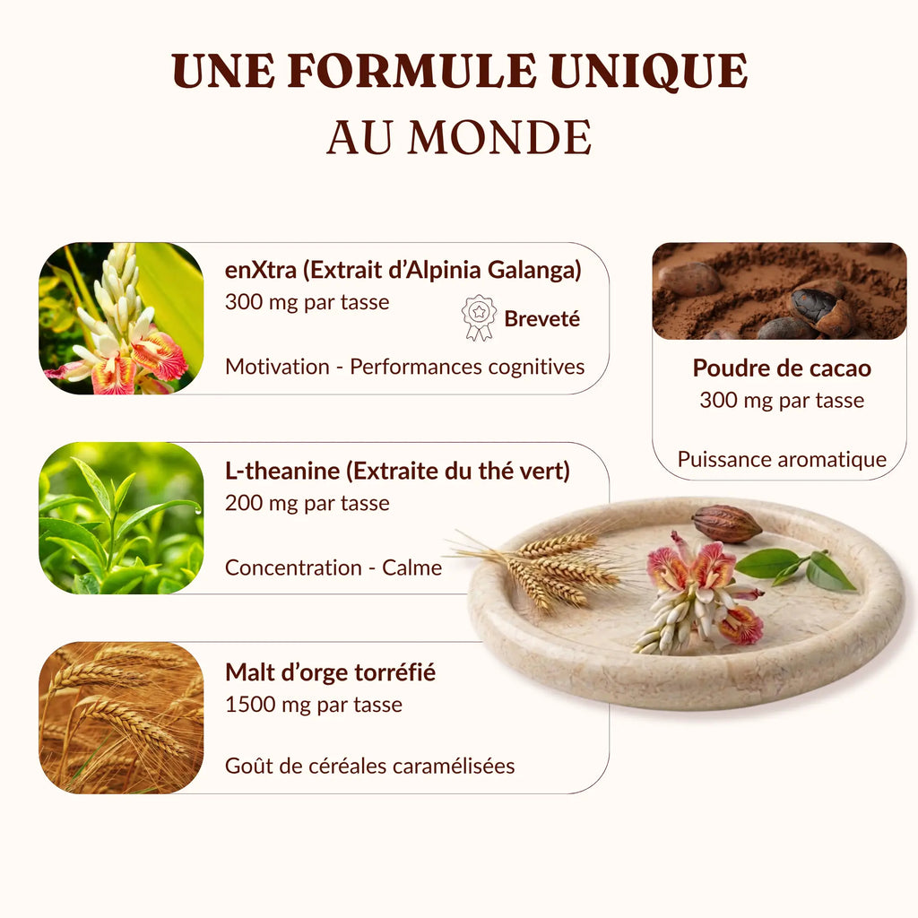 MOUD - Allié mental sans caféine