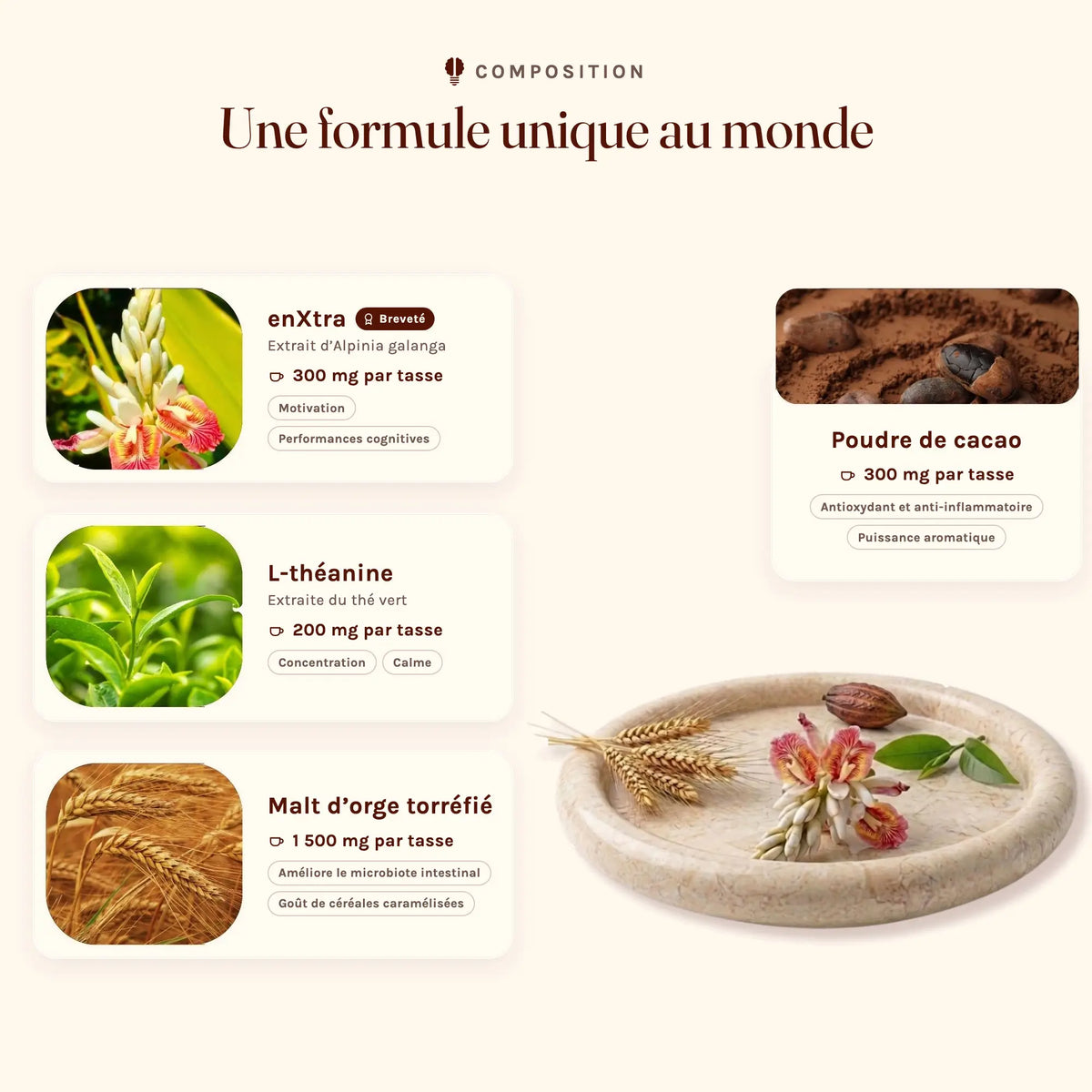 les ingrédients de MOUD : enxtra, extrait de thé vert concentré en l-theanine, malt d'orge torréfié et poudre de cacao