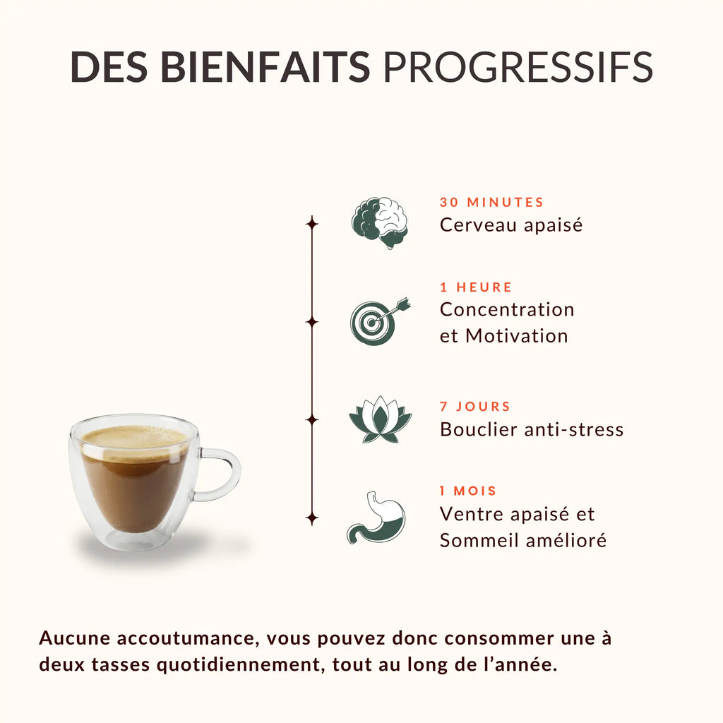 MOUD - Allié mental sans caféine