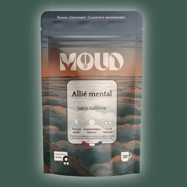 <h2>Les autres alternatives au café</h2>